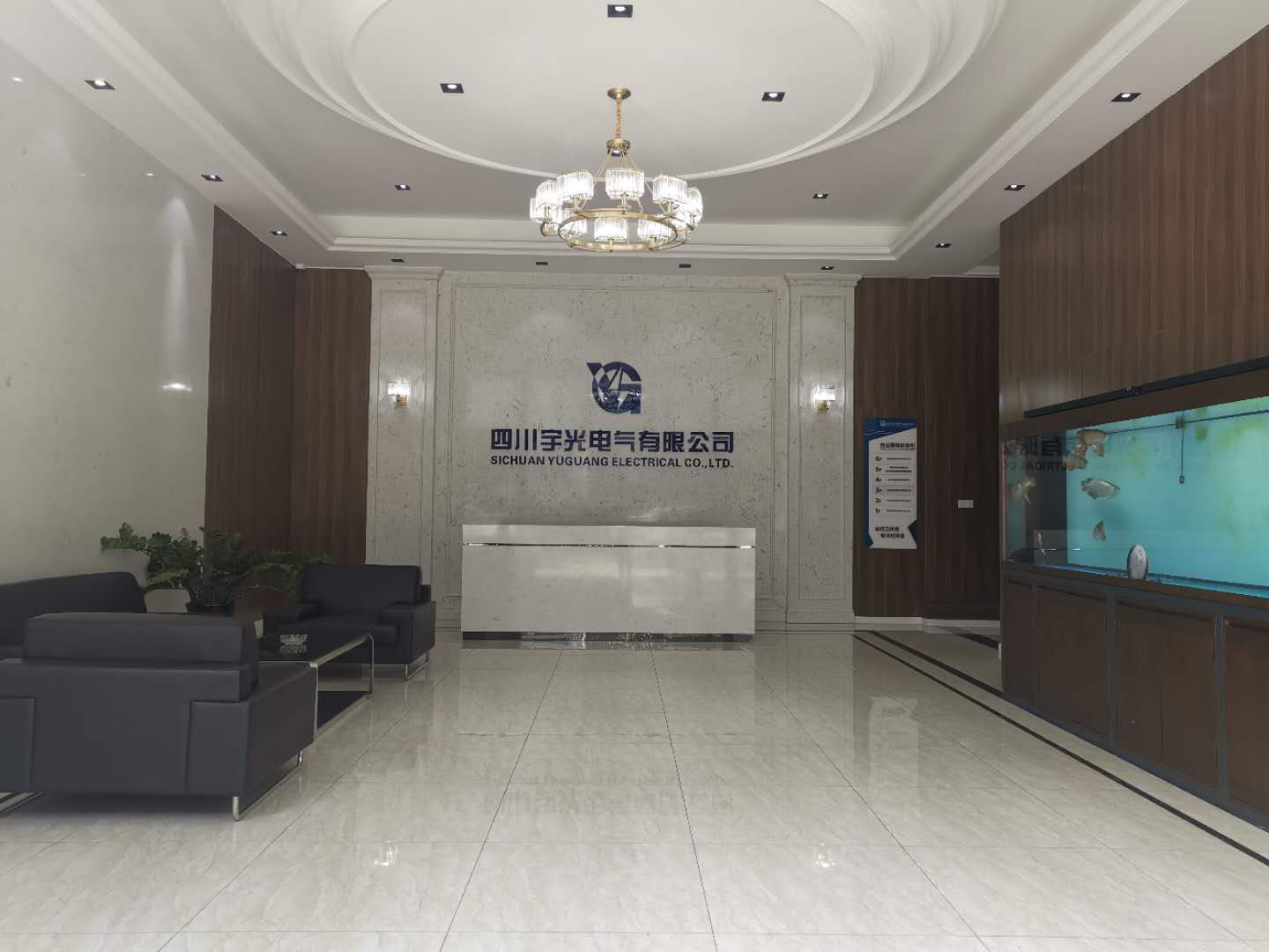 ��˾����